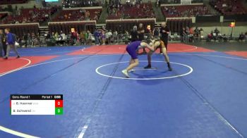 137 lbs Cons. Round 1 - Blake Hoerner, Ruis Wrestling Academy vs Blaine Schwend, Laurel Matburners