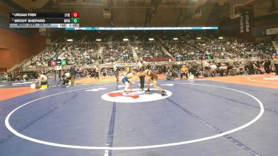 2A-126 lbs Quarterfinal - Brody Shepard, Shoshoni vs Urijah Fish, Lingle-Ft. Laramie/Southeast