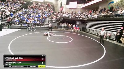 113 lbs Quarterfinal - Aiden Bastian, Layton vs Cougar Wilson, American Fork