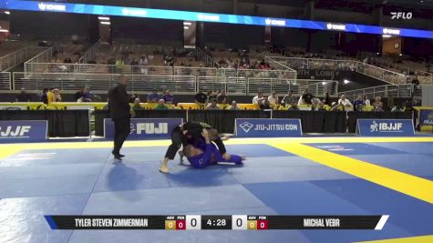 Michal Vebr vs Tyler Steven Zimmerman 2025 Pan Jiu Jitsu IBJJF Championship