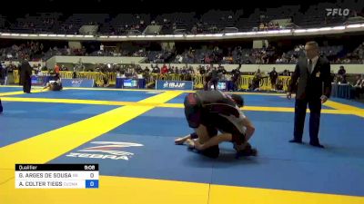 GABRIEL ARGES DE SOUSA vs AARON COLTER TIEGS 2022 World IBJJF Jiu-Jitsu No-Gi Championship