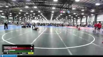 84 lbs Round 5 (6 Team) - Noah Fenner, PA Gold vs Timothy Mazur,, Terps Xtreme