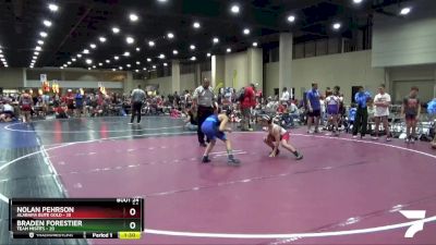 100 lbs Semis & Wb (16 Team) - Nolan Pehrson, Alabama Elite Gold vs Braden Forestier, Team Misfits