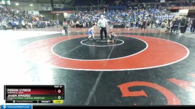 84 lbs Champ. Round 1 - Jaxen Amadeo, Franklin Pierce Cardinal Wrestling Club vs Perrin Uydess, Auburn A-Team