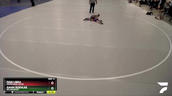 55 lbs Quarterfinal - Gavin Boehlke, No-Nonsense vs Ivan Libra, Watertown-Mayer