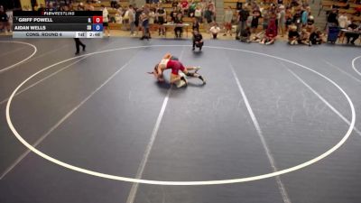 138 lbs Cons. Round 6 - Griff Powell, IL vs Aidan Wells, SD