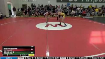 170 lbs Round 2 - Triston Brown, East Limestone vs Ethan Lamb, Madison County