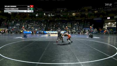 141 lbs Round Of 16 - Dylan Cedeno, Virginia vs Tyson Sherlock, Davidson