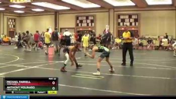 85 lbs Round 4 (6 Team) - Anthony Molinaro, Frost Gang vs Michael Farrell, Team Alien