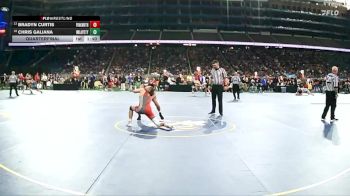 D3-132 lbs Quarterfinal - Bradyn Curtis, Frankenmuth vs Chris Galiana, Imlay City
