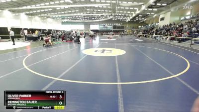 174 lbs Cons. Round 4 - Remington Bauer, Baldwin Wallace vs Oliver Parker, Springfield