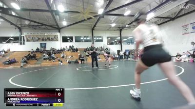 124 lbs Semifinal - Abby DiCenzo, Baldwin Wallace University vs Andrea Rodriguez, Manchester