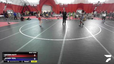 119 lbs 3rd Place Match - Hayden Hutt, IA vs Jayden Veal, IL