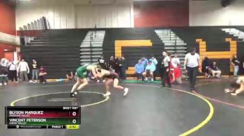 138 lbs Cons. Round 5 - Vincent Peterson, Green Valley vs Blyson Marquez, Pahrump Valley