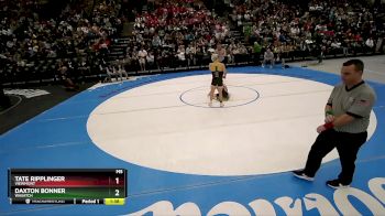 138 lbs Semifinal - Daxton Bonner, Wasatch vs Tate Ripplinger, Viewmont