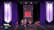 Paw Prints [2026 Day 1 Tiny Novice] 2026 Next Level Grand Nationals
