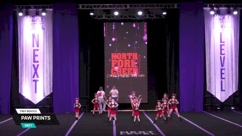Paw Prints [2026 Day 1 Tiny Novice] 2026 Next Level Grand Nationals