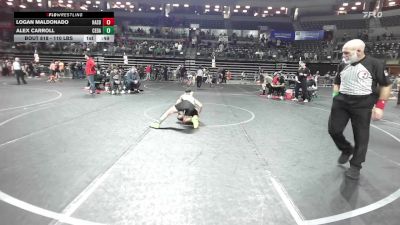 110 lbs Consi Of 8 #2 - Logan Maldonado, Hasbrouck Heights vs Alex Carroll, Cedar Grove