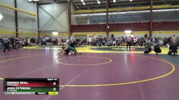 165 lbs Champ. Round 2 - Andrew Reall, Ponaganset vs Aiden Peterson, St. Edward