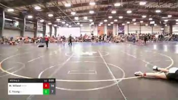 138 lbs Rr Rnd 3 - Mikey Wilson, Michigan Grapplers vs Colin Young, Illinois Menace Thunder