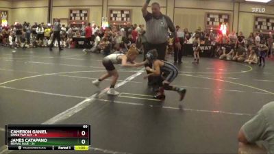 60 lbs Quarterfinals (8 Team) - James Catapano, Revival Blue vs Cameron Ganiel, Upper Twp W/C