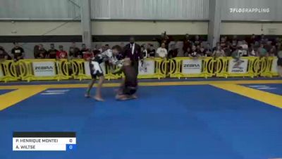PEDRO HENRIQUE MONTEIRO PALHARES vs ANDREW WILTSE 2021 Pan IBJJF Jiu-Jitsu No-Gi Championship