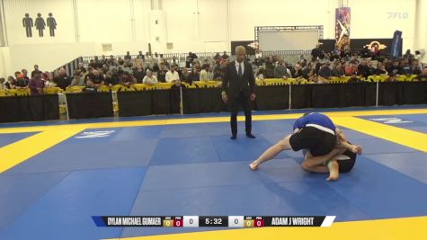 Adam J Wright vs Dylan Michael Gumaer 2024 World IBJJF Jiu-Jitsu No-Gi Championship