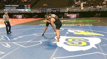 Cons. Round 2 - Mason Hamby, Papillion-LaVista South vs Payten Andresen, Columbus