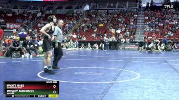 3A-165 lbs Champ. Round 2 - Wesley Anderson, Waukee vs Wyatt Hass, Davenport West
