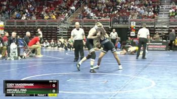 3A-120 lbs Quarterfinal - Mitchell Pins, Dubuque Hempstead vs Cody Vandermark, Ankeny Centennial