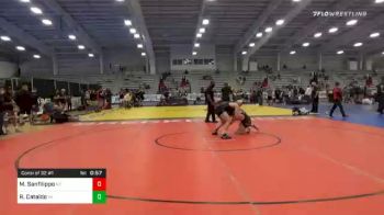 132 lbs Consolation - Michael Sanfilippo, NY vs Ryan Cataldo, VA