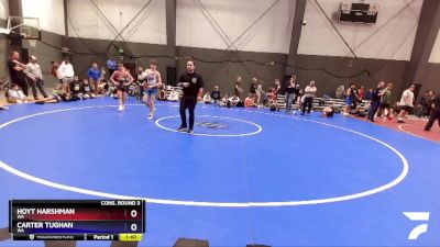 113 lbs Cons. Round 3 - Hoyt Harshman, WA vs Carter Tughan, WA