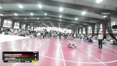 49 lbs Cons. Round 3 - Liam Davies, Shootbox Wrestling Club vs Keagan Harwood, North Sevier Wolf Pack