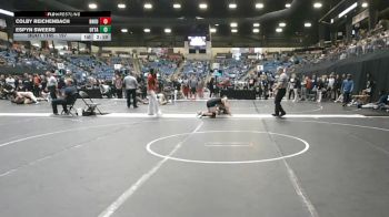 197 lbs Champ. Round 2 - Espyn Sweers, Ottawa University vs Colby Reichenbach, Doane University