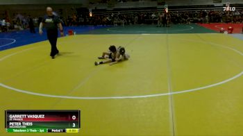 70 lbs Cons. Round 1 - Garrett Vasquez, St. Francis vs Peter Theis, Holdingford