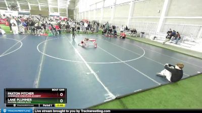 58 lbs Cons. Round 3 - Paxton Pitcher, Sanderson Wrestling Academy vs Lane Plummer, Eastern Oregon Elite