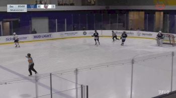 Replay: Home - 2025 Villanova vs Liberty | Mar 22 @ 12 PM