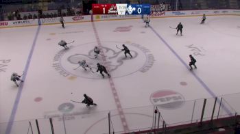 Replay: Home - 2024 Adirondack vs Trois-Rivières | Nov 2 @ 7 PM