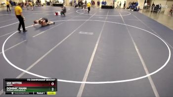 172 Championship Bracket Champ. Round 3 - Dominic Mann, Kasson-Mantorville vs Ian Wittek, Anoka