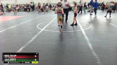 48 lbs Round 5 (6 Team) - Cale Hinkle, Wrestling Mill vs Brex Taylor, Ohio Gold 24K