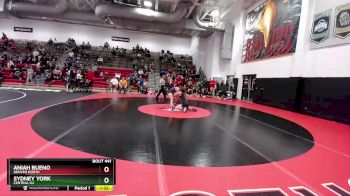 115 lbs Semifinal - Sydney York, Central-GJ vs Aniah Bueno, Denver North