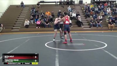 184 lbs Quarterfinal - Seth Holt, Hiram vs Trenton Mead, Thiel College