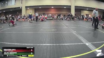130 lbs Cons. Round 3 - Brayden Hall, Trinity Top Team vs Gilmo Nedziwe, Michigan Pitbulls