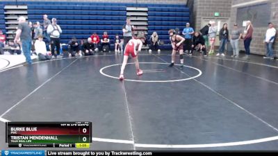90 lbs 1st Place Match - Burke Blue, PWC vs Tristan Mendenhall, Team Real Life