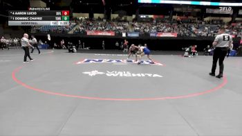 133 lbs Semifinal - 1 Dominic Chavez, Texas Wesleyan vs 4 Aaron Lucio, Southeastern