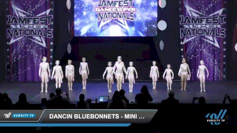 Dancin Bluebonnets - Mini Elite Contemporary [2022 Mini - Contemporary/Lyrical - Small Day 2] 2022 JAMfest Dance Super Nationals