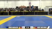 Nima Harirchian vs Michael Eugene Wagner 2024 World IBJJF Jiu-Jitsu No-Gi Championship