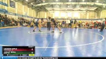 275 lbs Round 1 (4 Team) - Jackson Apple, Noblesville vs Harley Beall, Delta