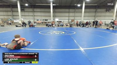 63 lbs Quarterfinal - Luke Wolfley, Snake River vs Jace Pena, All In Wrestling Academy