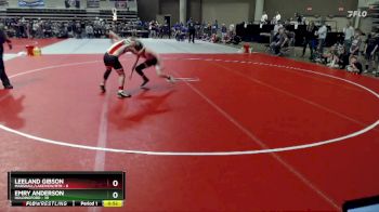 88 lbs Semis (4 Team) - Emry Anderson, Holdingford vs Leeland Gibson, Marshall/Lakeview/RTR